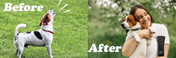 Petgentle Dog Trainer (Official Retailer) 2025 Petgentle Dog Trainer (Official Retailer) 2025